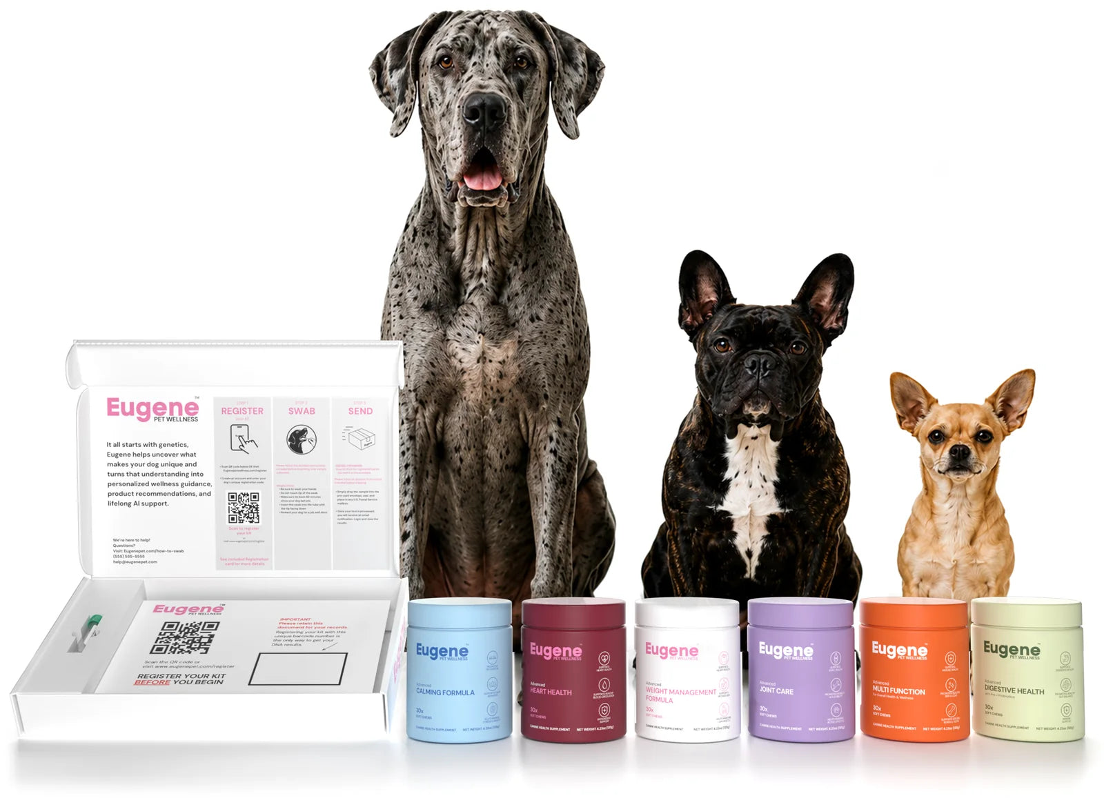Three dogs beside the Eugene DNA test kit and supplement range